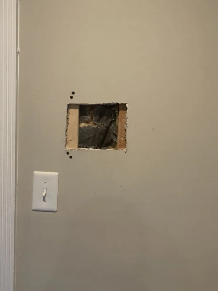 Slide of Leo's DMV Painting