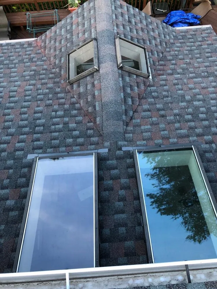 Slide of Leo's DMV Painting