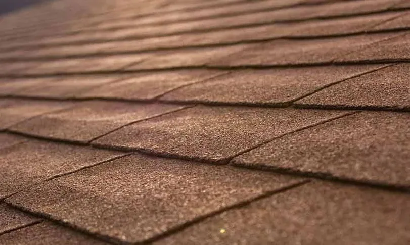 Slide of LePage and Sons Roofing