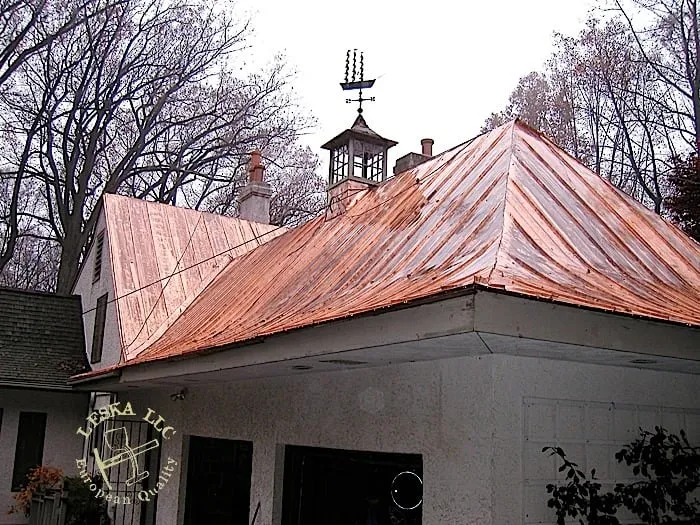 Slide of Leska Restoration