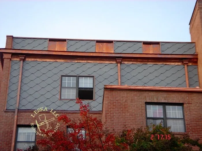 Slide of Leska Restoration