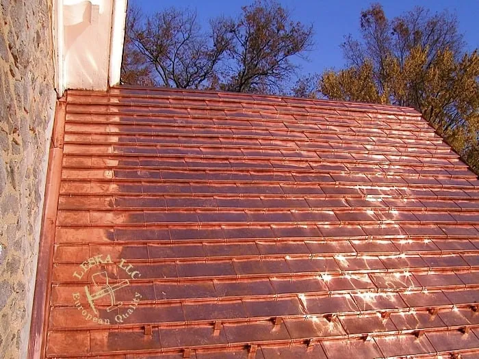 Slide of Leska Restoration