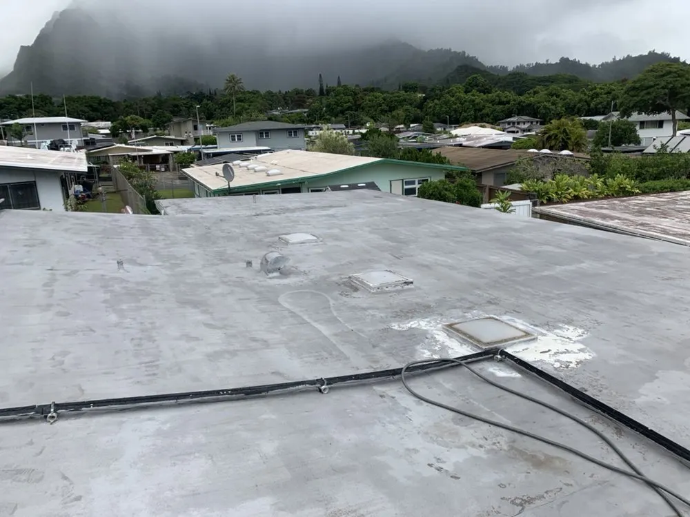 Slide of Lessary Roofing & Waterproofing