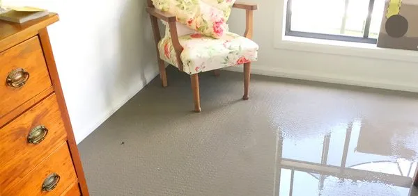 Let's Go Rescue Logo