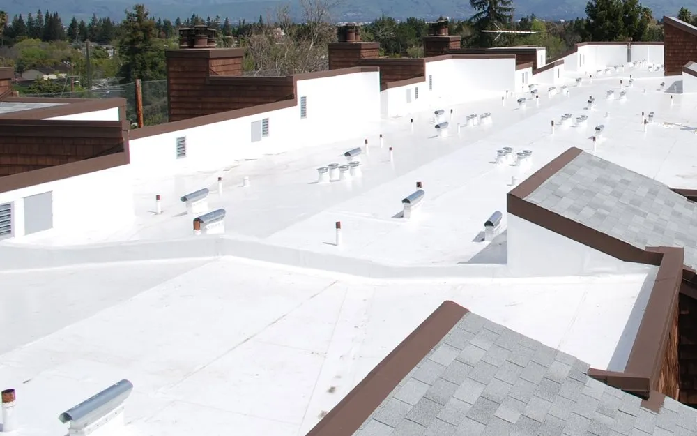 Slide of Level 1 Roofing