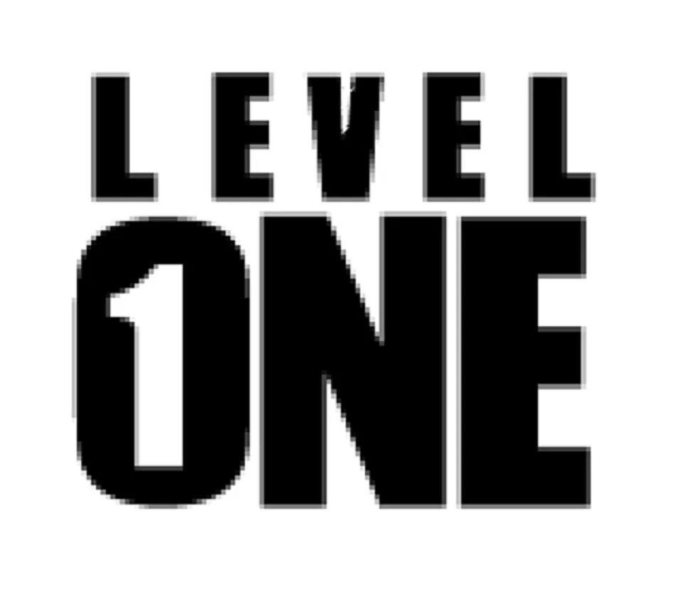 Slide of Level One Recovery
