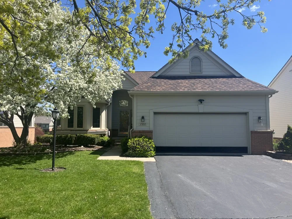 Slide of Level Up Improvement