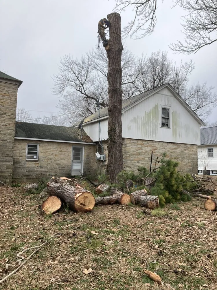 Slide of Leveled Up Contracting And Roofing