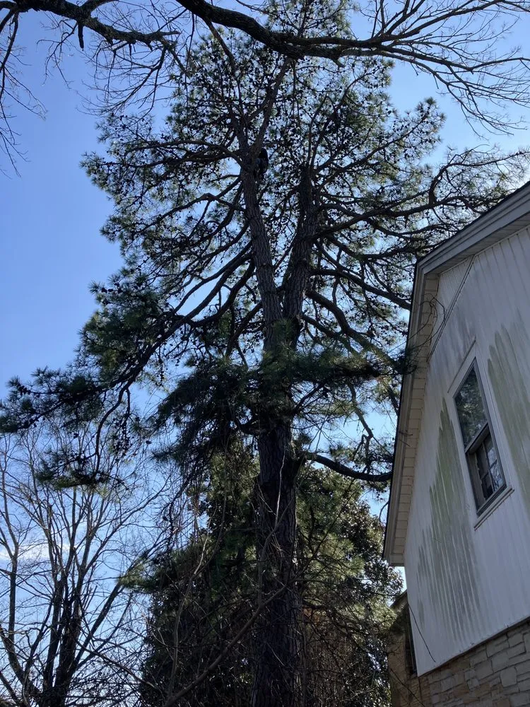 Slide of Leveled Up Contracting And Roofing