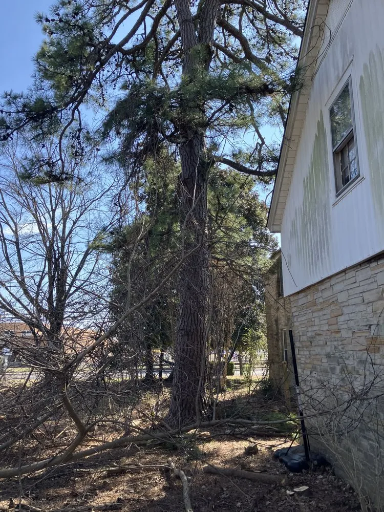 Slide of Leveled Up Contracting And Roofing