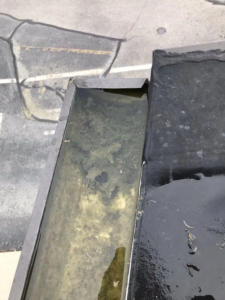 Slide of Levi Gutter Solution