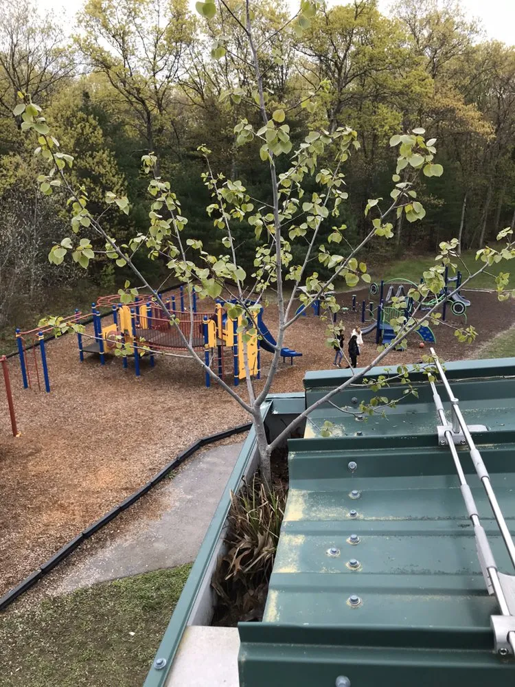 Slide of Levi Gutter Solution