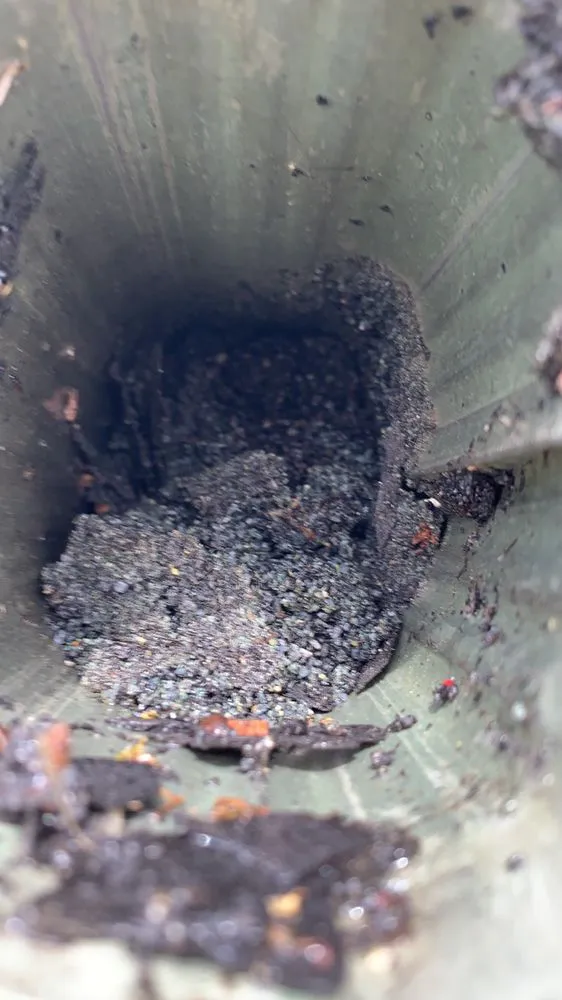 Slide of Levi Gutter Solution