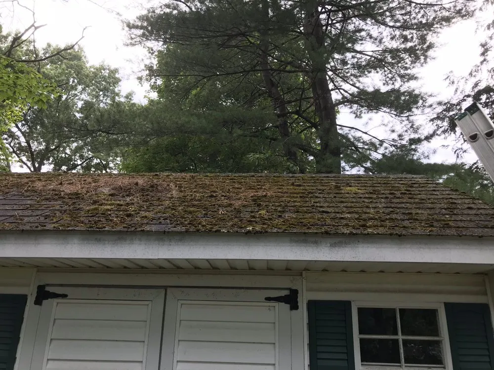 Slide of Levi Gutter Solution