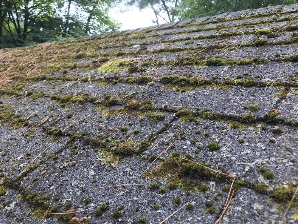 Slide of Levi Gutter Solution