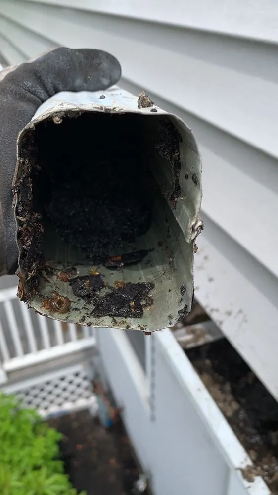 Slide of Levi Gutter Solution