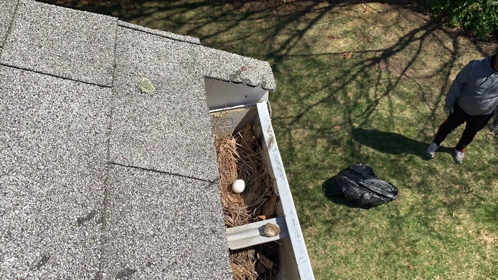 Slide of Levi Gutter Solution