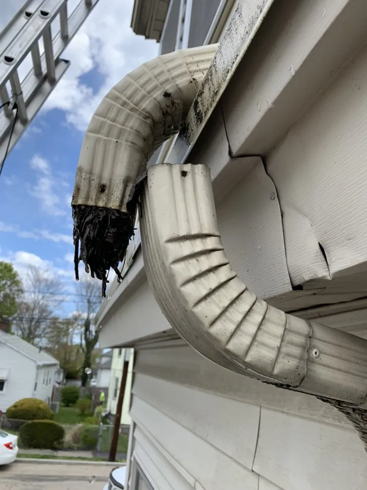 Slide of Levi Gutter Solution