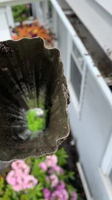 Levi Gutter Solution