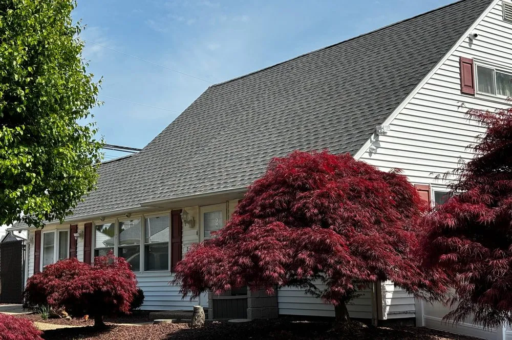 Slide of Levittown Roofs