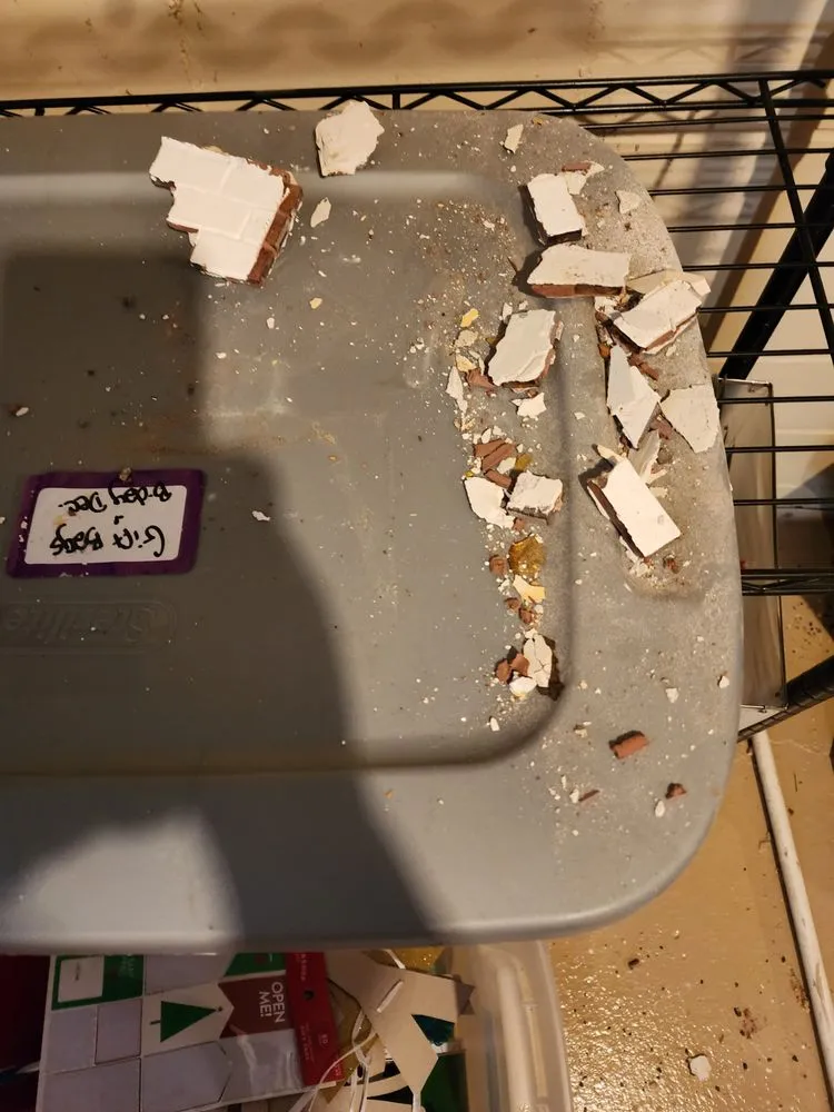 Slide of Lewis Construction