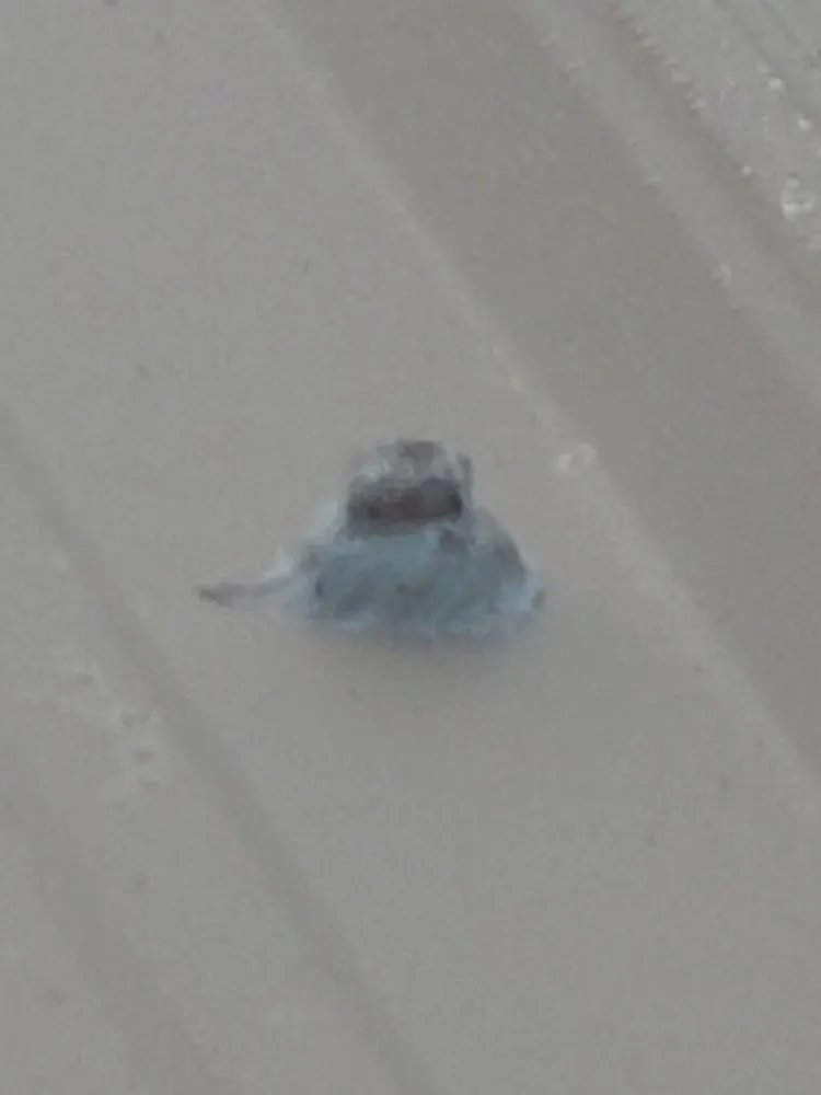 Slide of Lewis Walker Roofing