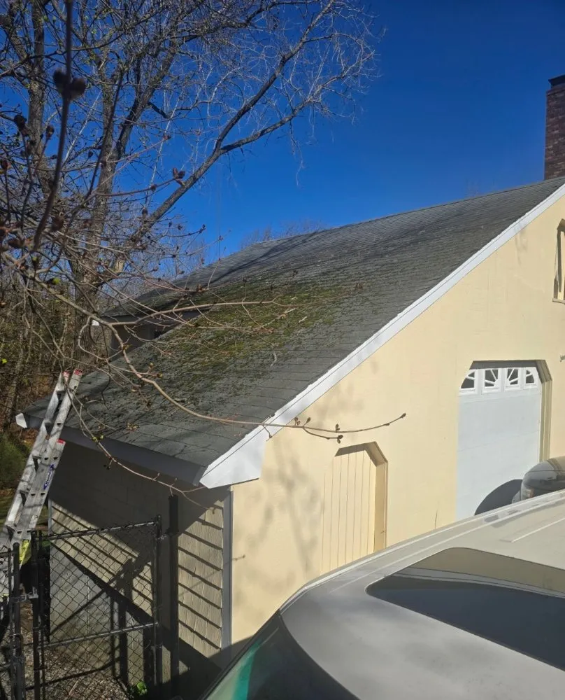 Slide of Lexington Restoration Services