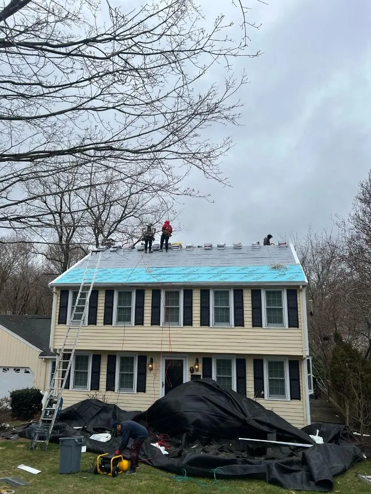 Slide of Lexington Restoration Services