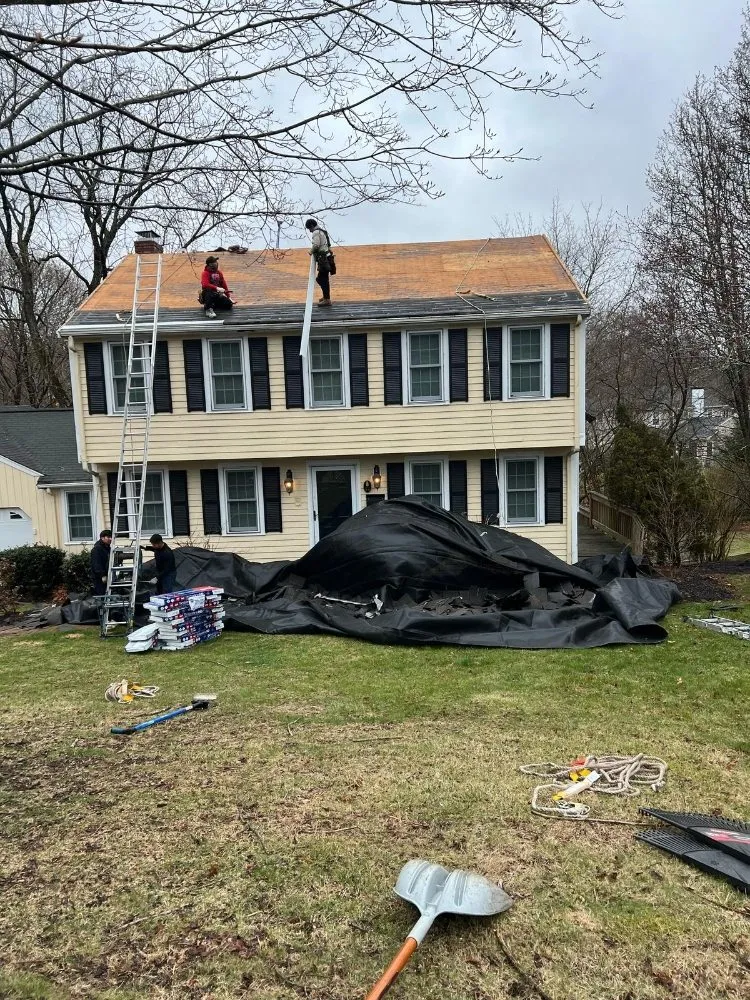 Slide of Lexington Restoration Services