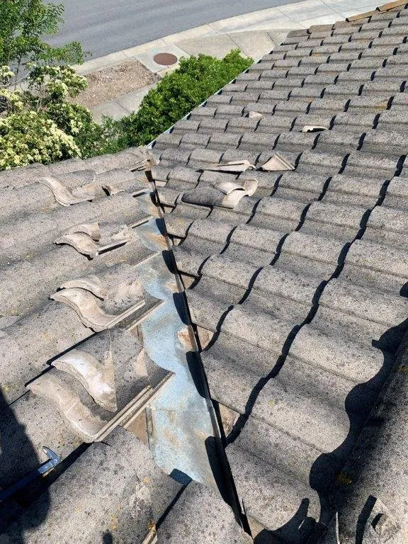 Slide of LFG Roofing