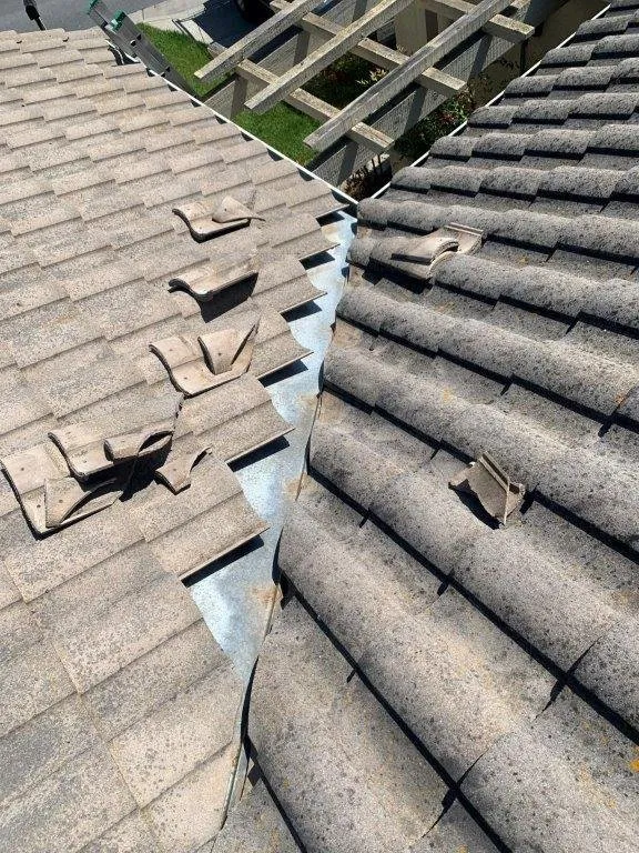 Slide of LFG Roofing