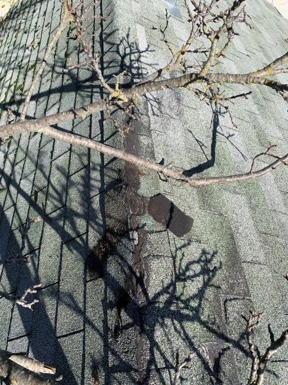 Slide of LFG Roofing