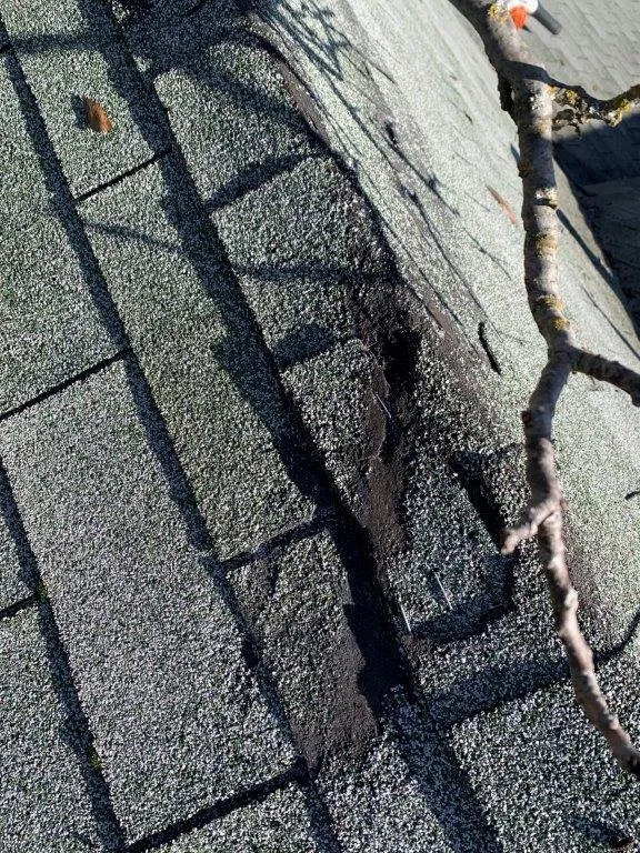 Slide of LFG Roofing