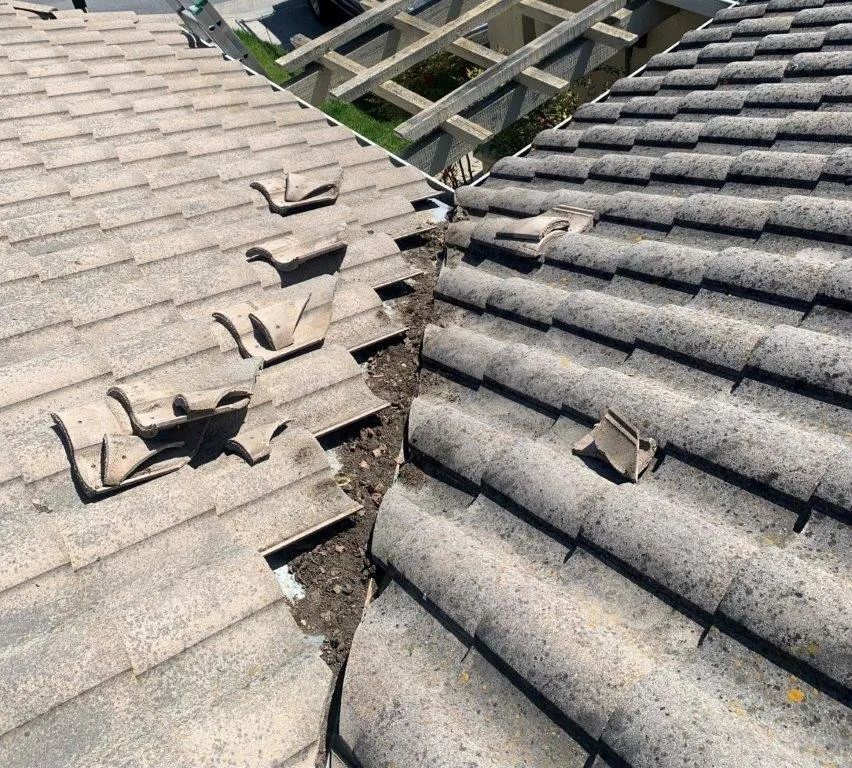 Slide of LFG Roofing