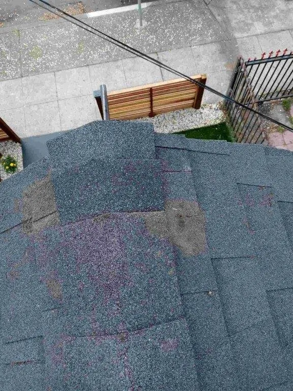 Slide of LFG Roofing