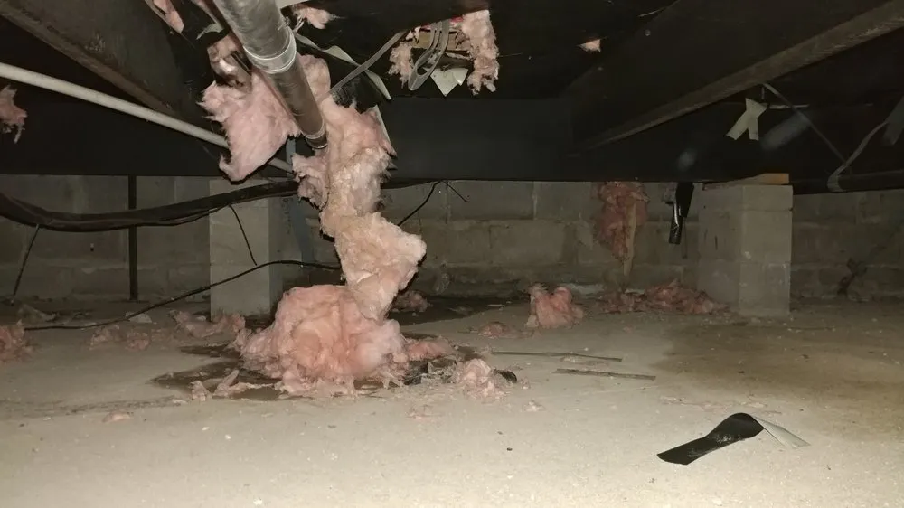 Slide of LG Custom Construction