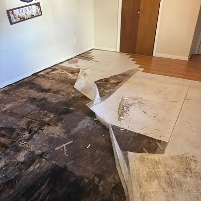 Slide of LG Painting Service