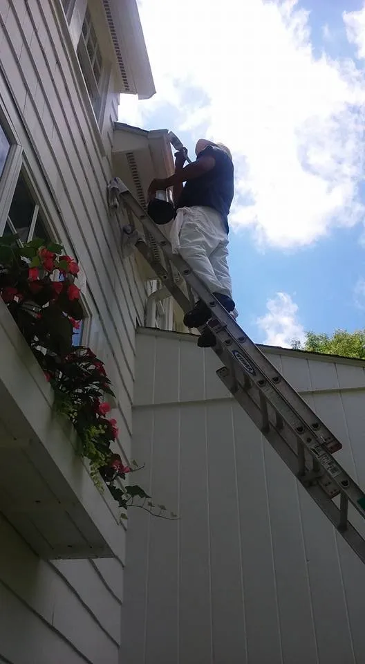 Slide of LG Painting Service