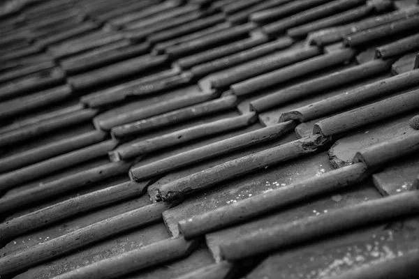 LG Roofing and Contracting Logo