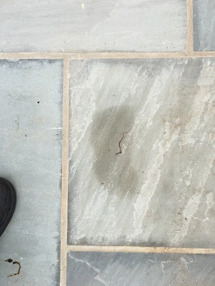 Slide of LGC Roofing