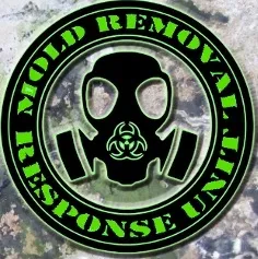 Slide of LGT Restoration-Third Nail Guy