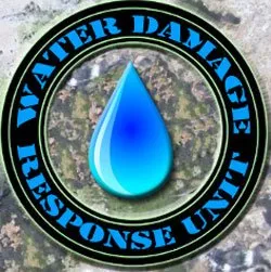 Slide of LGT Restoration-Third Nail Guy