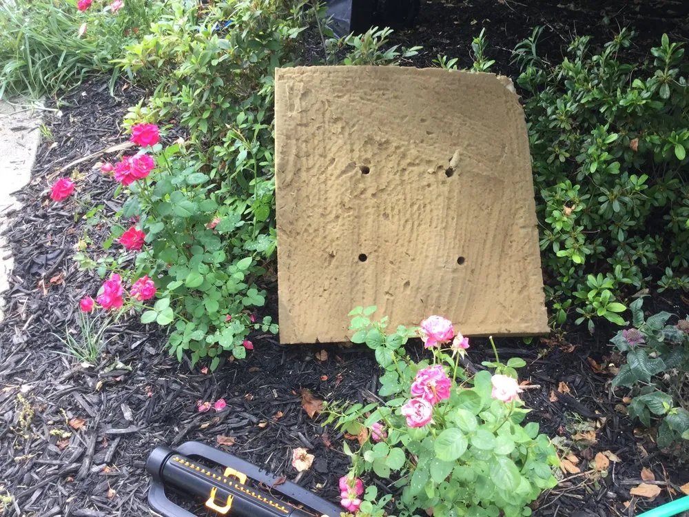 Slide of Liberty Restoration