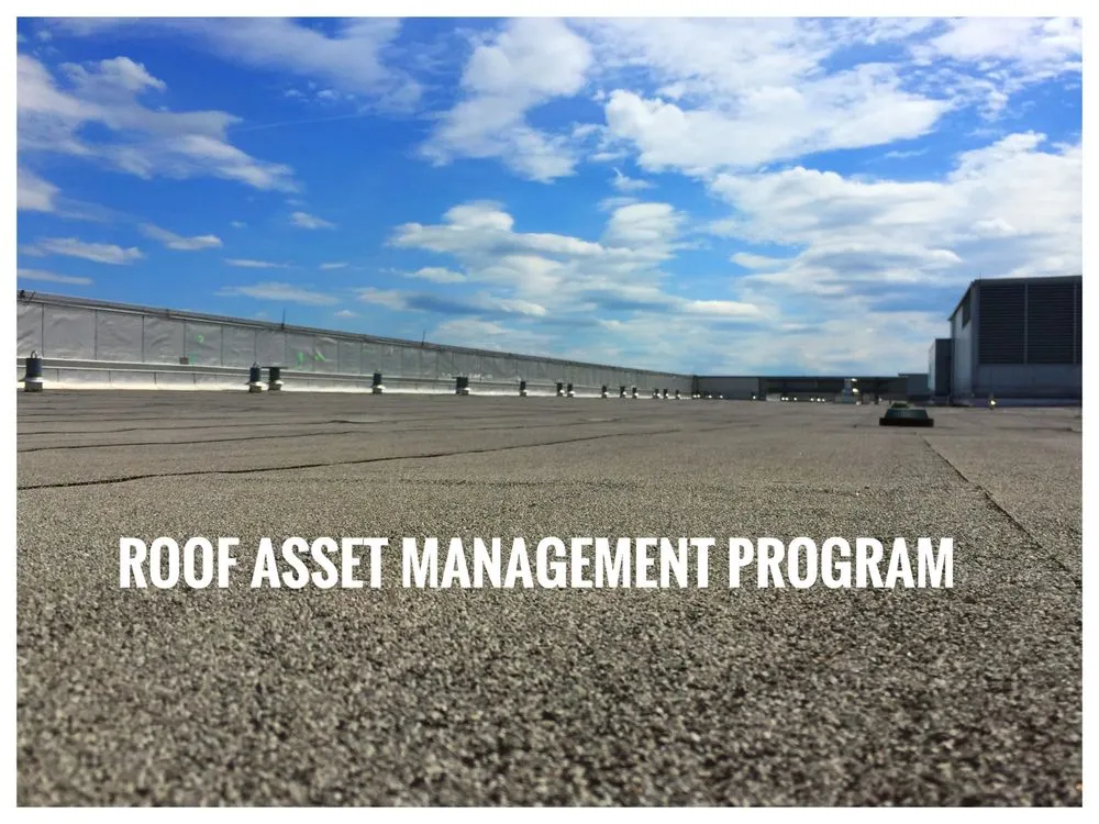 Slide of Lichy & Associates