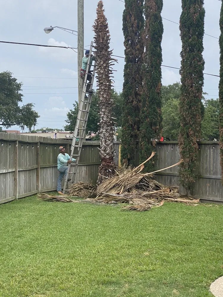 Slide of Lieder Landscapes