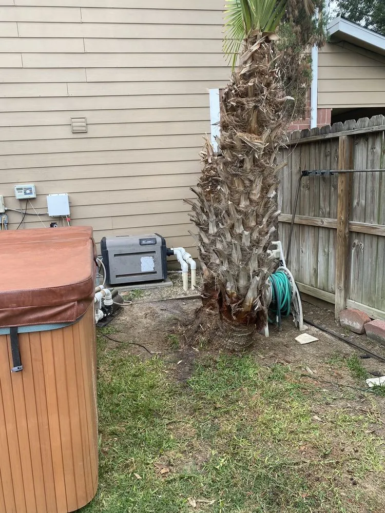 Slide of Lieder Landscapes