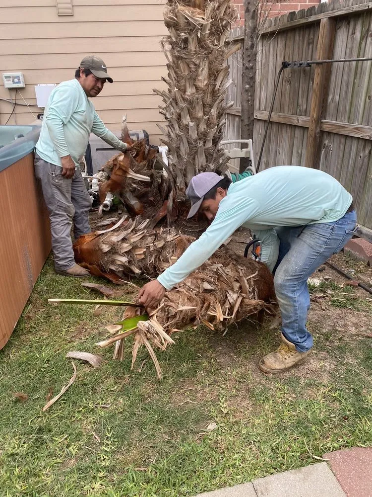 Slide of Lieder Landscapes