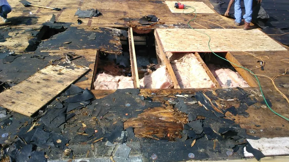 Slide of Life Construction