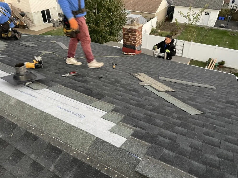 Slide of Life Restoration