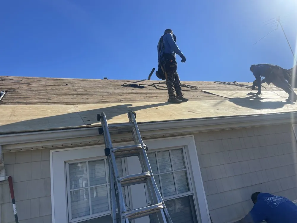 Slide of Life Restoration